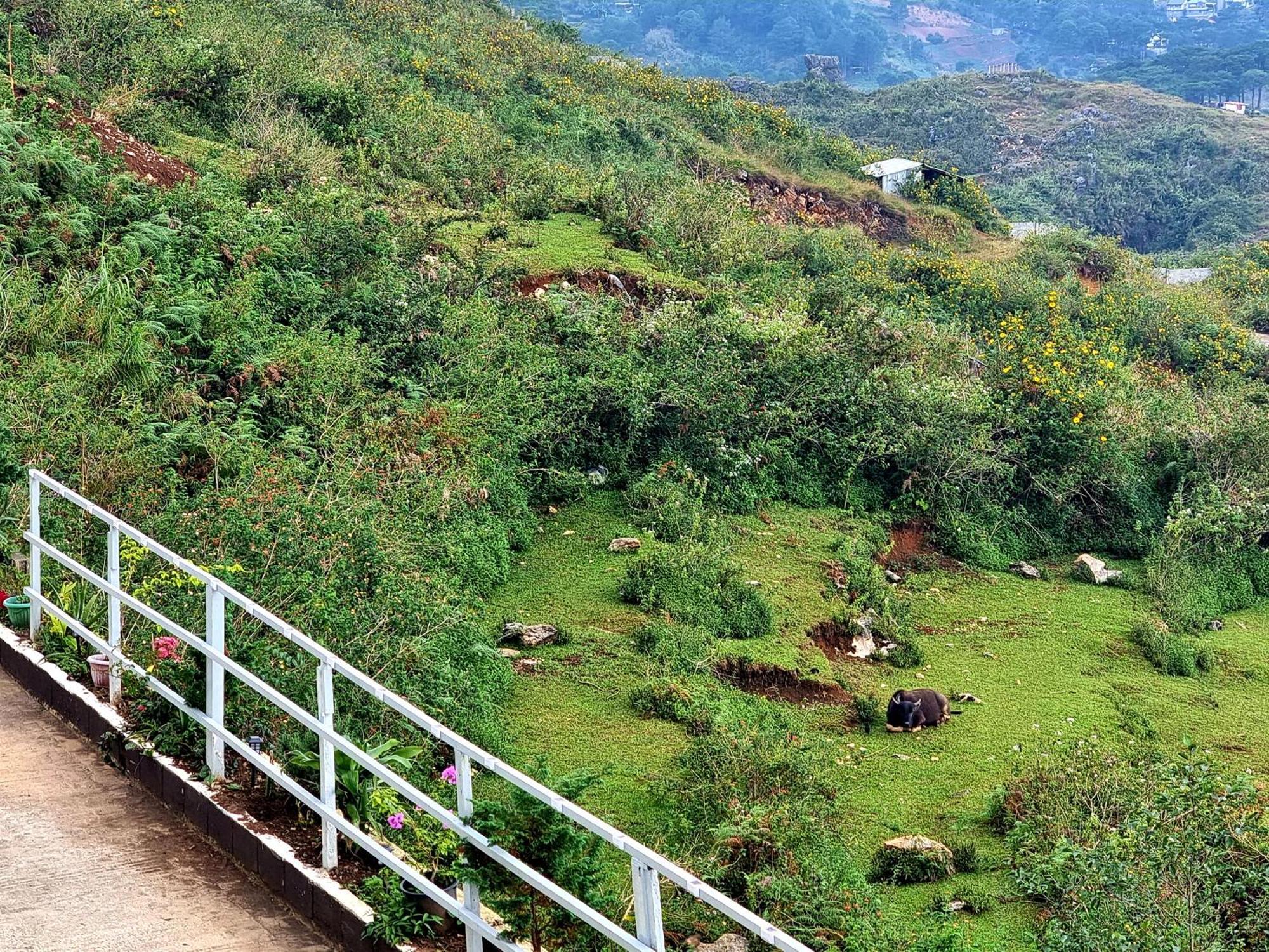 Wanay'S Rocky Mountain Homestay Baguio City Exteriér fotografie